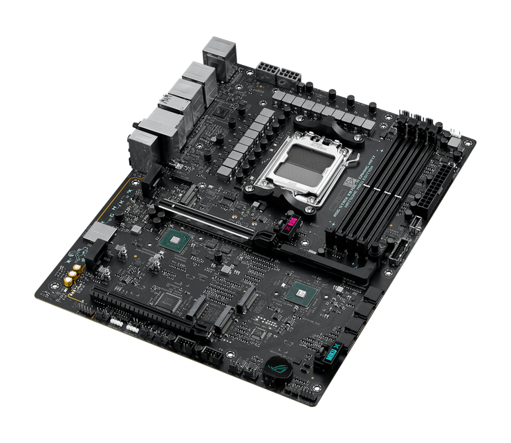 HERRING-M_11  拷貝